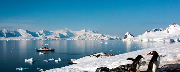 쿠버빌 섬(Cuverville Island). 탐험선이 떠있는 해안과 빙설 위에서 놀고 있는 펭귄들, 남극의 적 풍경이다. /게티이미지
