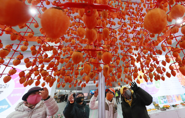 8일 경남 함양군 상림공원 일원에서 열린 함양곶감특판행사에서 시민들이 곶감을 살펴보고 있다. /연합