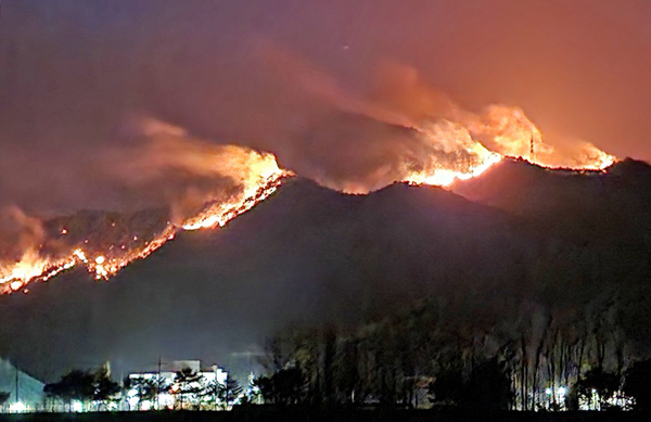 5일 새벽 강원 삼척 원덕읍 산양리 일대 산림이 불길에 휩싸여 있다. /연합