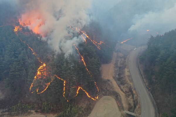 5일 경북 울진군 북면 하당리의 한 야산에 불길이 되살아나고 있다. 산림 당국은 이날 오전 바람 방향이 바뀌어 북진하던 산불이 다시 남진한다고 밝혔다. /연합