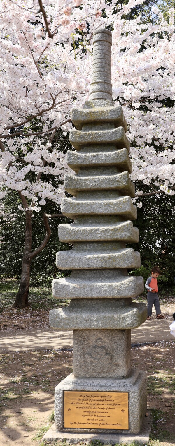 포토맥 강줄기 호수 벚꽃길에 서있는 미일수호조약기념탑. 1854년 미국에 의한 개항을 기념해, 역사의 현장이던 요코하마시가 1957년에 기증했다.