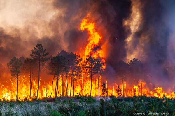뜨거운 여름··· 17일(현지시간) 프랑스 남서부 랑디랑스 인근의 산불 현장 모습. 남서부 유럽을 중심으로 며칠째 이어진 폭염으로 사망자가 속출하고 산불까지 잇따라 발생해 각국이 긴급대응에 나섰다. /AP=연합
