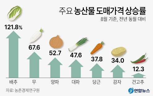 지난달 농산물 물가상승률이 8.5%를 기록한 가운데 이달에도 농산물 가격 상승세가 이어질 것으로 보인다. /연합