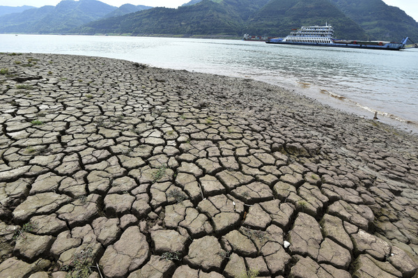 심한 가뭄으로 16일 중국 충칭시 윈양현 인근을 흐르는 양쯔강 수위가 떨어져 메마른 강바닥이 부분적으로 드러나 있다. 여름철 기준 사상 최악의 수준이다. /AP=연합