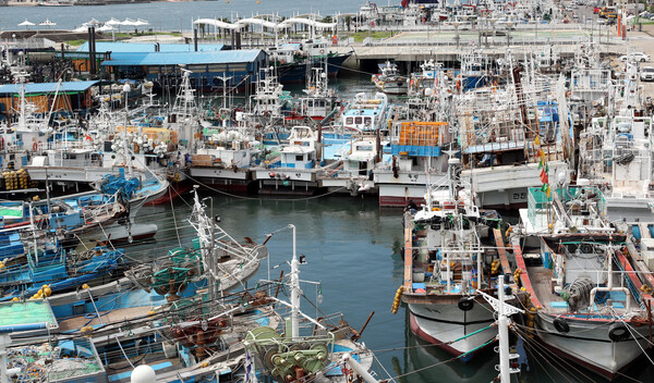 제11호 태풍 힌남노가 북상 중인 가운데 4일 전남 여수 국동항에 어선들이 피항해 있다. /연합