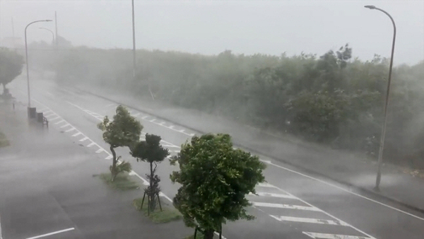 제11호 태풍 ‘힌남노’로 일본 오키나와 도로가 가로수들이 강한 비바람에 휘어져 있다. /트위터 캡처