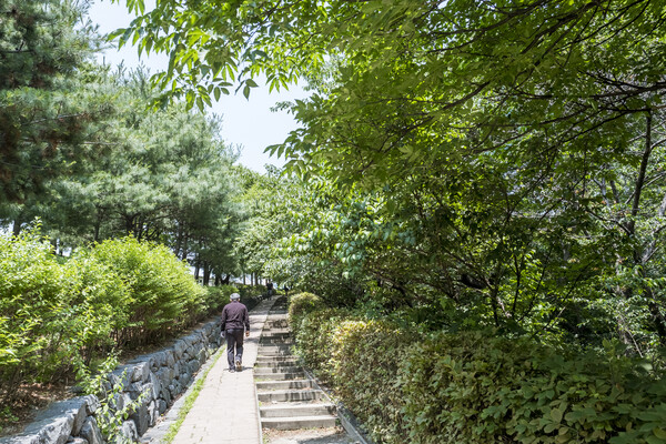 한양도성길 인왕산 구간 초입은 산책하듯 걸을 수 있다.
