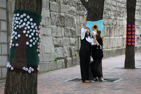 가을에 접어든 2일 오후 서울 중구 덕수궁 돌담길에서 시민들이 손뜨개 옷을 입고 있는 나무와 사진을 찍고 있다. /연합