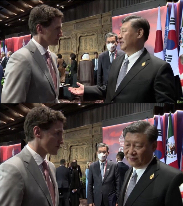 쥐스탱 트뤼도 캐나다 총리(왼쪽)와 시진핑 중국 국가주석의 냉랭한 모습이 주요 20개국(G20) 정상회의 마지막 날 연회에서 포착됐다. /주요 20개국(G20) 연회 풀(POOL) 영상 캡처