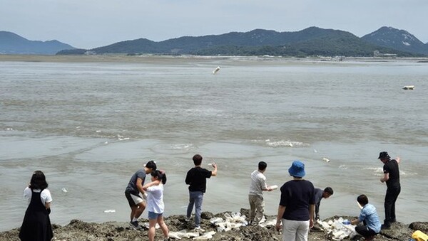 지난 7일 탈북민단체 사단법인 큰샘은 강화군 섬에서 페트병에 쌀과 성경·달러 등을 담아 북쪽에 보냈다고 밝혔다. /큰샘