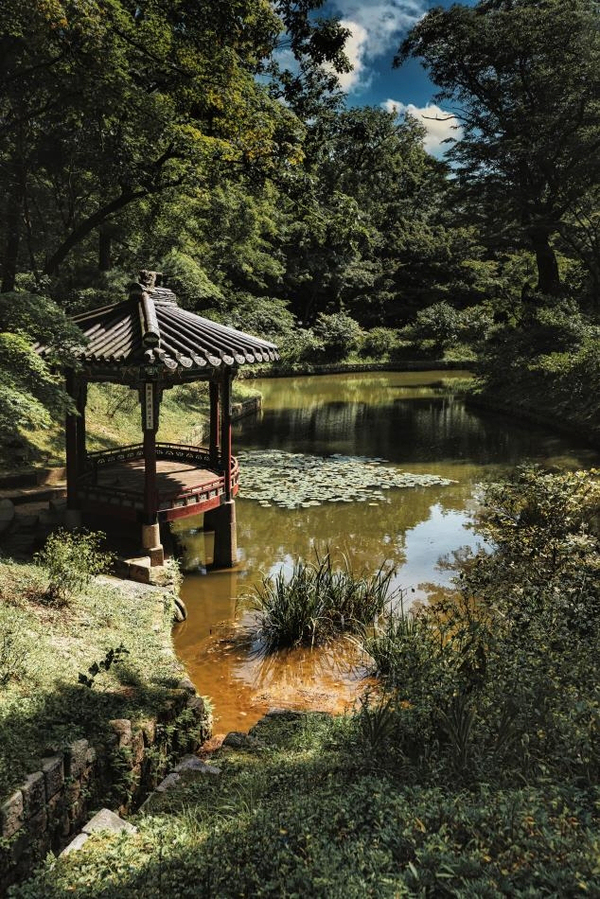 40년 가까이 호텔에서 일하며 외국인 관광객과 만나온 백승우 사진작가가 펴낸 책 ‘마이 팰리스’(My Palace - Hidden Gems of Joseon Dynasty)에는 이런 고민의 흔적이 담겼다. 사진은 창덕궁 후원. /연합