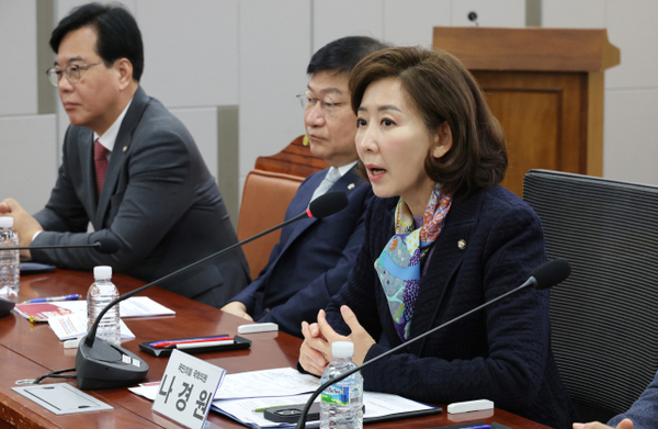 지난 5일 국회에서 열린 간첩죄 개정 토론회에서 나경원 국민의힘 의원이 더불어민주당과 이재명 대표의 협력을 강력히 촉구했다. /연합