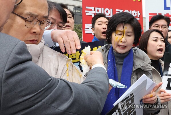 지난 20일 헌법재판소 앞에서 윤석열 대통령 탄핵촉구 기자회견을 하던 더불어민주당 백혜련 의원이 날계란에 맞았다. 이튿날에는 서영교 민주당 의원이 같은 취지의 기자회견을 할 때 "서돼지"라는 말을 들었다./연합