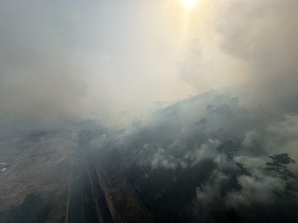 25일 울산 울주군 언양읍 송대리에서 발생한 산불 현장이 연기로 뒤덮여 있다. /연합