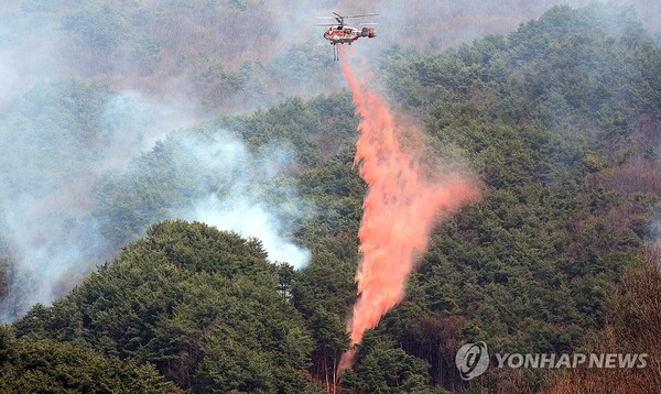 25일 오후 경남 산청군 시천면에서 산림청 헬기가 산불 지연제를 살포하며 산불 확산 방지에 집중하고 있다. /연합