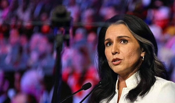 털시 개버드 미국 국가정보국장. /AFP=연합