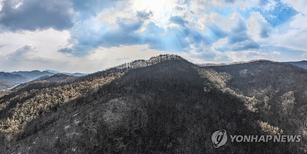 28일 경북 의성군 산림이 산불에 폐허가 된 모습을 보이는 가운데 빛내림 현상이 관측되고 있다. 산림청은 이날 일주일간 이어진 경북 산불의 주불 진화 완료를 선언했다. /연합