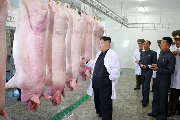 북한 김정은이 북한군 공군부대의 돼지 공장을 시찰하고 있는 모습. /연합