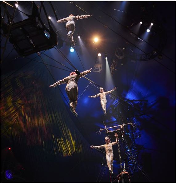 /마스트인터내셔널