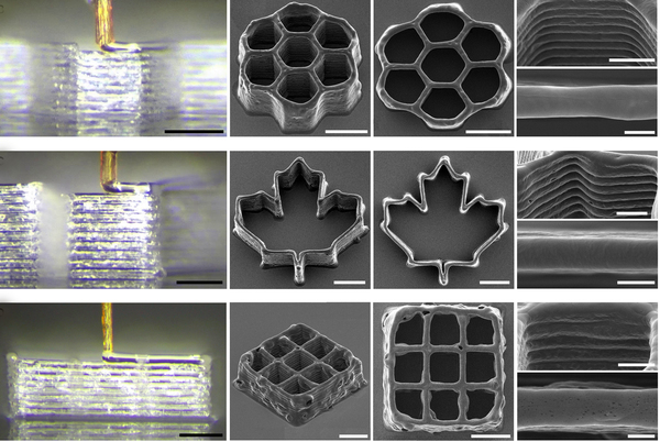 3D 네크로프린터는 벌집과 단풍잎 같은 복잡한 직선·곡선 패턴을 고해상도로 출력했다. 약 60kPa의 내부 압력을 견딜 수 있어 바이오잉크 같은 점성 높은 재료도 안정적으로 배출한다. /논문 캡처